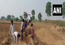 पंजाब इस साल 19.5 मीट्रिक टन पराली का प्रबंधन करेगा, NGT के समक्ष प्रस्तुत