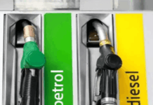 सरकार ने 5 साल में पेट्रोल और डीजल वाहनों को चरणबद्ध करने की योजना बनाई