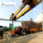 पुणे : छत्रपती कारखान्याचे क्षमतेपेक्षा अधिक ऊस गाळप, एक लाख टनाचा गाठला टप्पा