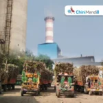 महाराष्ट्र : ऊस तोडणीतील अडवणूक टाळण्यासाठी ‘तक्रार निवारण अधिकारी’ नियुक्त करण्याचे आदेश Sugar Industry News