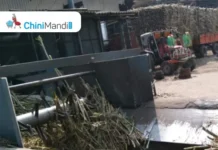 महाराष्ट्र : राज्यात सहकारी साखर कारखान्यांकडून पावणे चार कोटी टन उस गाळप Sugar Industry News