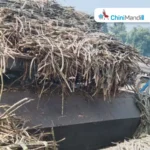 Bangladesh: Natore sugar mill to begin sugarcane crushing operations on Friday Sugar Industry News