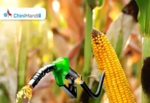 मलेशिया का पहला मक्का-आधारित एथेनॉल प्लांट शुरू हुआ, ब्राजील और अर्जेंटीना से मक्के की होगी आयात Ethanol production