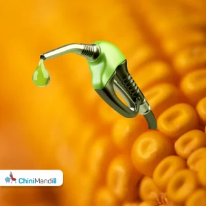 maize ethanol