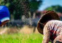 Karnataka: AAP protests demanding compensation for farmers affected by drought