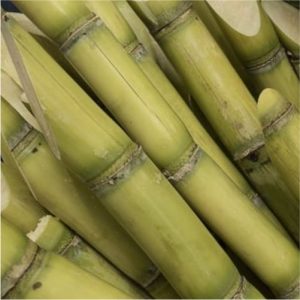 Sugar Industry News