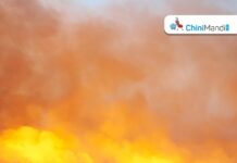 पंजाब में 15 से 27 सितंबर के बीच पराली जलाने के 45 मामले सामने आए