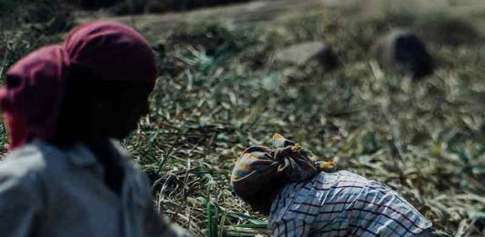 sugarcane farmers