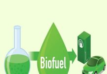 Brazil eyes potential collaboration with ASEAN to boost biofuel production