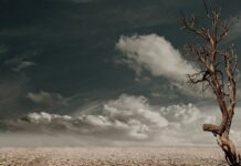 Sharad Pawar expresses concerns over drought-like conditions in many parts of Maharashtra; calls for all-party meet