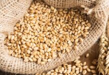 Centre revises Wheat Stock Limit until 31st March, 2025