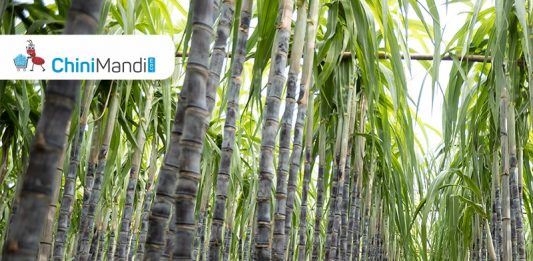 Sugar Industry News