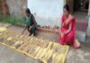 Chhattisgarh: Couple preserves 350 paddy varieties to protect biodiversity