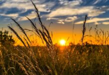 Karnataka Minister hopes for early release of funds by Centre for drought relief