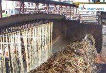 Baghpat: Sugarcane crushing season begins in sugar mills