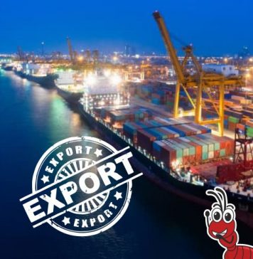 Sugar stocks surge after news of govt approval for sugar exports and removal of molasses duty