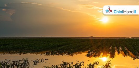 Sugar Industry News