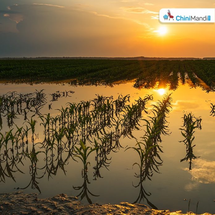 Sugar Industry News