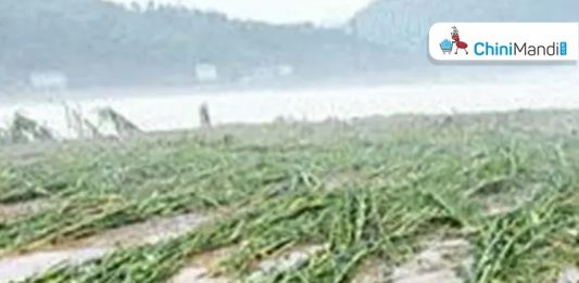 Sugar Industry News