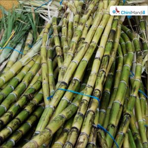 Sugar Industry News