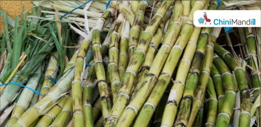 Sugar Industry News