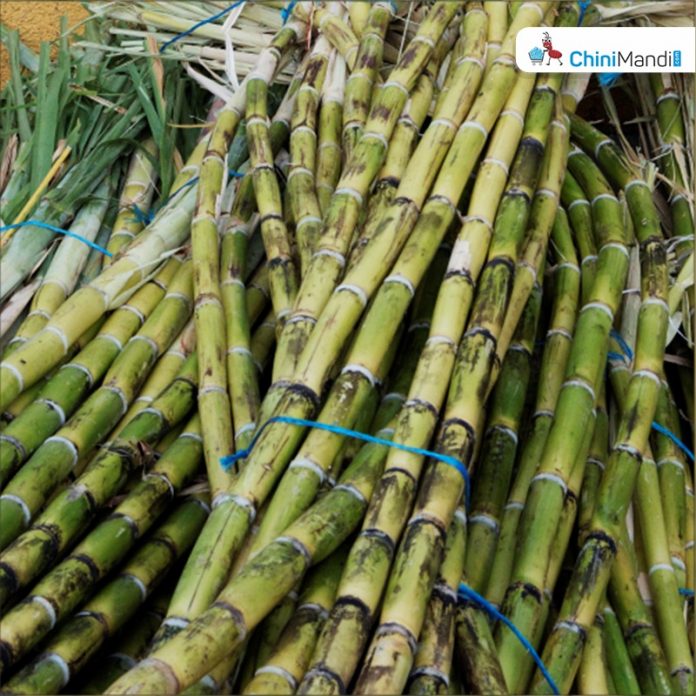 Sugar Industry News
