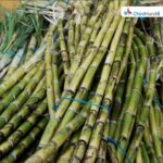 सहकारी मिलों को मिल रहा है ज्यादा गन्ना, बढ़ेगा चीनी उत्पादन : सहकारिता मंत्री डॉ. अरविंद शर्मा Sugar Industry News