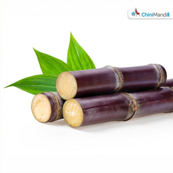 Sugar Industry News