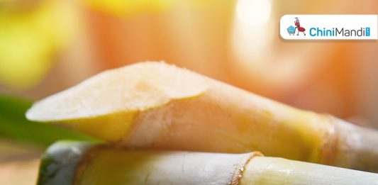 Sugar Industry News