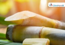 बेलारूस में ऐतिहासिक ऊंचाई पर पहुंचा चीनी उत्पादन : ओलेग झिडकोव Sugar Industry News