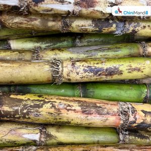 Sugar Industry News