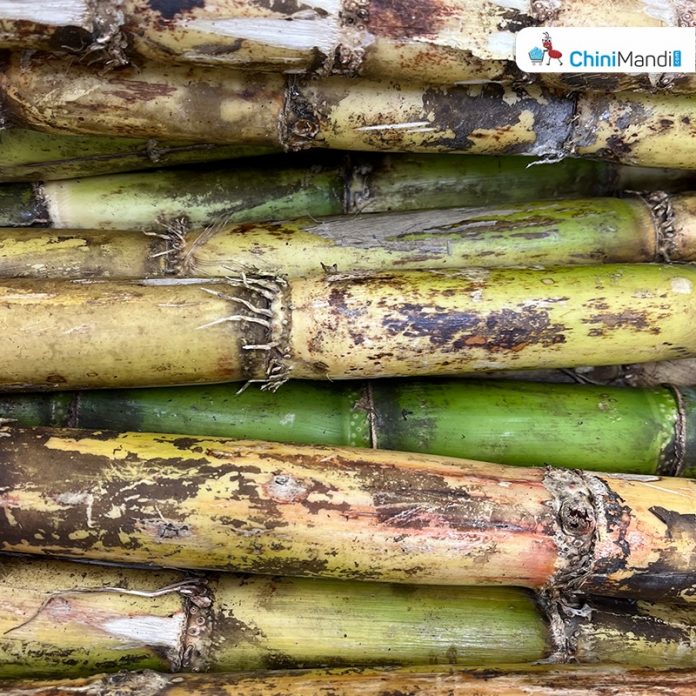 Sugar Industry News