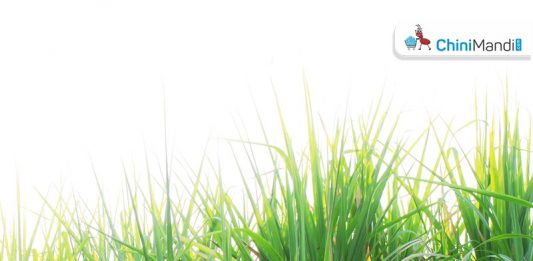 Sugar Industry News