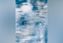 Karnataka Deputy CM DK Shivakumar urges cooperation amid Cauvery water dispute