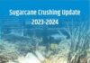 Sugar Season 2023-24: Sugarcane crushing in Maharashtra expected to commence on November 1
