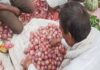 India circumvents onion export ban, grants limited quota to UAE despite prohibition extension