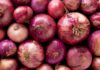 India allows onion export to Sri Lanka, gives additional quota to UAE