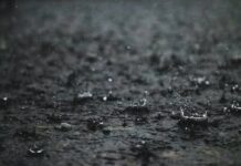 महाराष्ट्रातील ६ जिल्ह्यांना हवामान विभागाकडून उद्या पावसाचा ‘रेड अलर्ट’