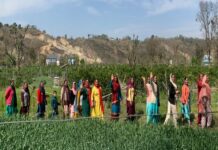 Only farmers can bring winds of change in country: Rajnath Singh