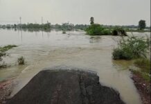 Cyclone Michaung: Centre releases Rs 493.60 cr disaster relief for Andhra, TN gets Rs 450 crore