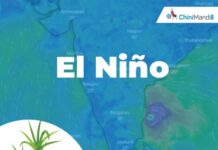 Skymet forecasts waning El Niño and potential La Niña transition