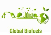 Namibia joins Global Biofuels Alliance