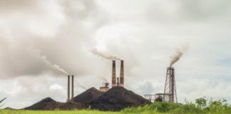 Sugar Industry News
