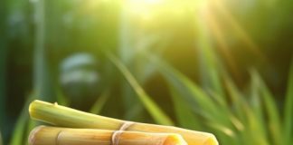 Sugar Industry News
