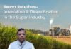 Innovation and diversification in sugar industry: Bagasse utilization beyond fuel