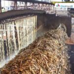 Bangladesh: Mubarakganj Sugar mill kicks off 59th crushing season with digital upgrades