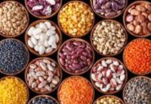 Government fixes 8.19% ‘return on capital’ for jute bag supplies for foodgrain packaging