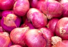 Fourth bulk shipment of 840 MT Onion reaches Delhi via rail rake