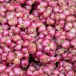 महाराष्ट्र : राज्य सरकारची मॉरिशसला 1,00,000 टनांहून अधिक कांदा निर्यात करण्याची योजना