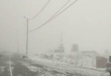 Farmers raise concerns about impact of snowfall in Afghanistan’s Bamyan